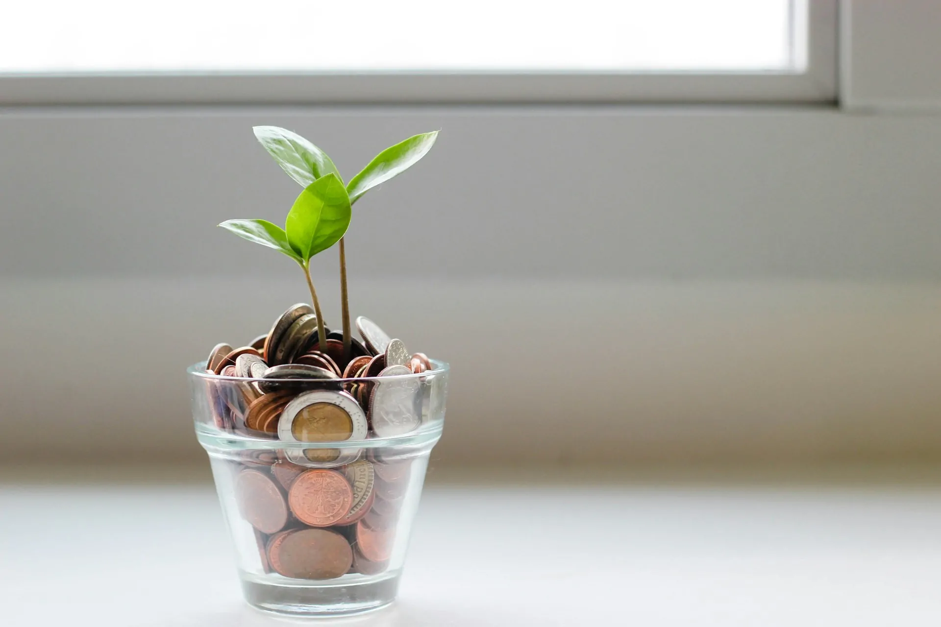 Compensation & Benefits: Emotions-Management auf höchstem Niveau